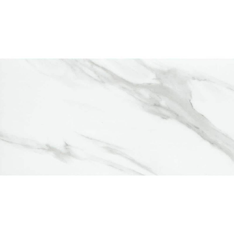 Emser Tile Nobleza Astorga 12 in. x 24 in. Matte Porcelain Floor and Wall Tile (15.5 Sq. Ft./Case, 8-Pieces)