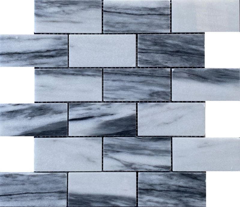 Emser Talento Gris Polished 2 in. x 4 in.