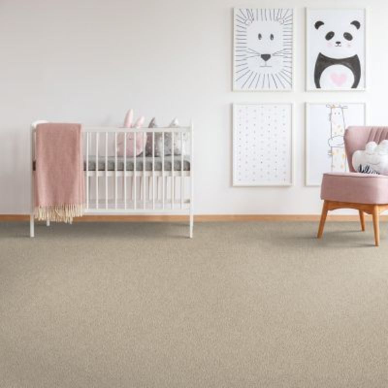Mohawk Captivating Concept Cypress