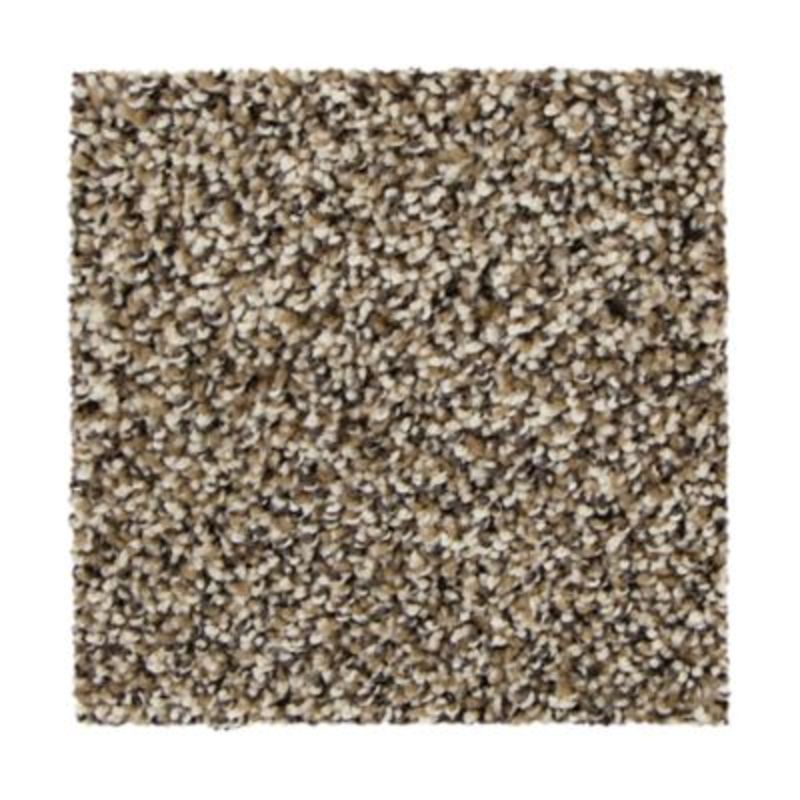 Mohawk Soft Intrigue II Canvas