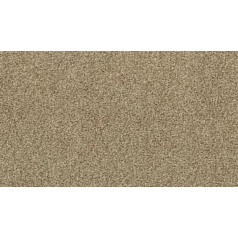 Mohawk Captivating Concept Toasted Almond