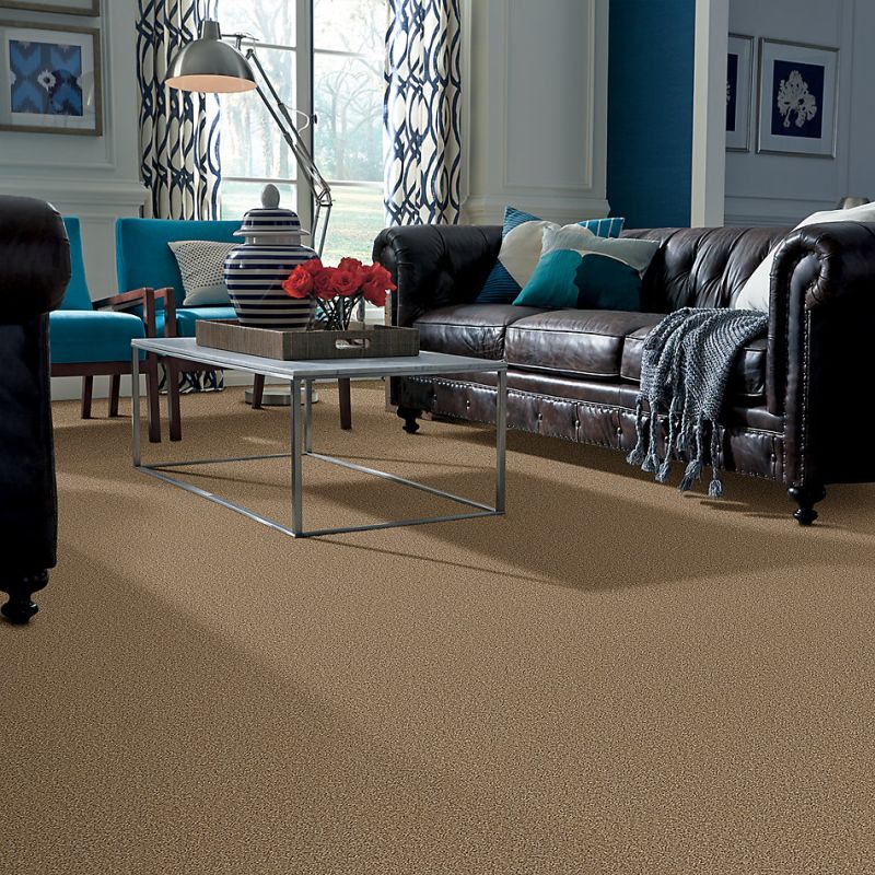 Shaw Floors Value Collections Full Court Net Golden Echoes