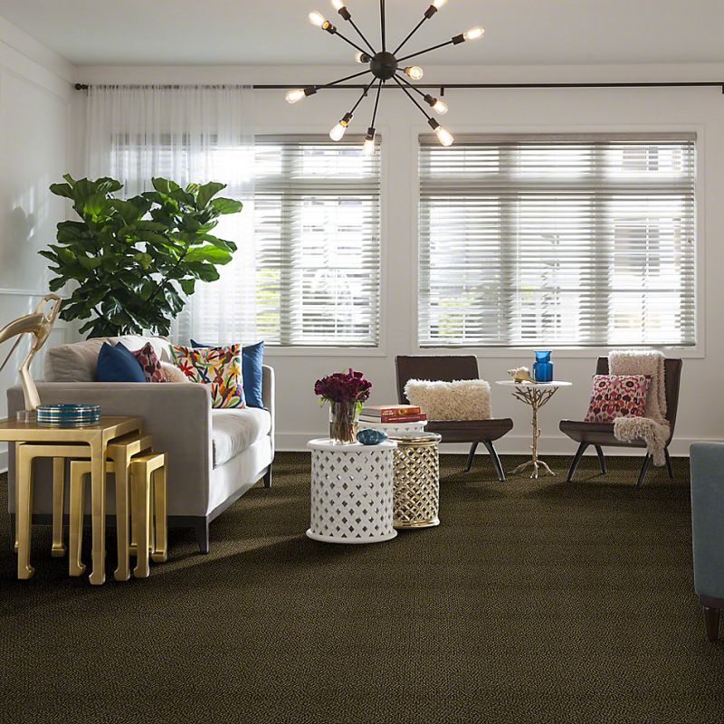 Shaw Floors SFA Danger Zone Garden Grove