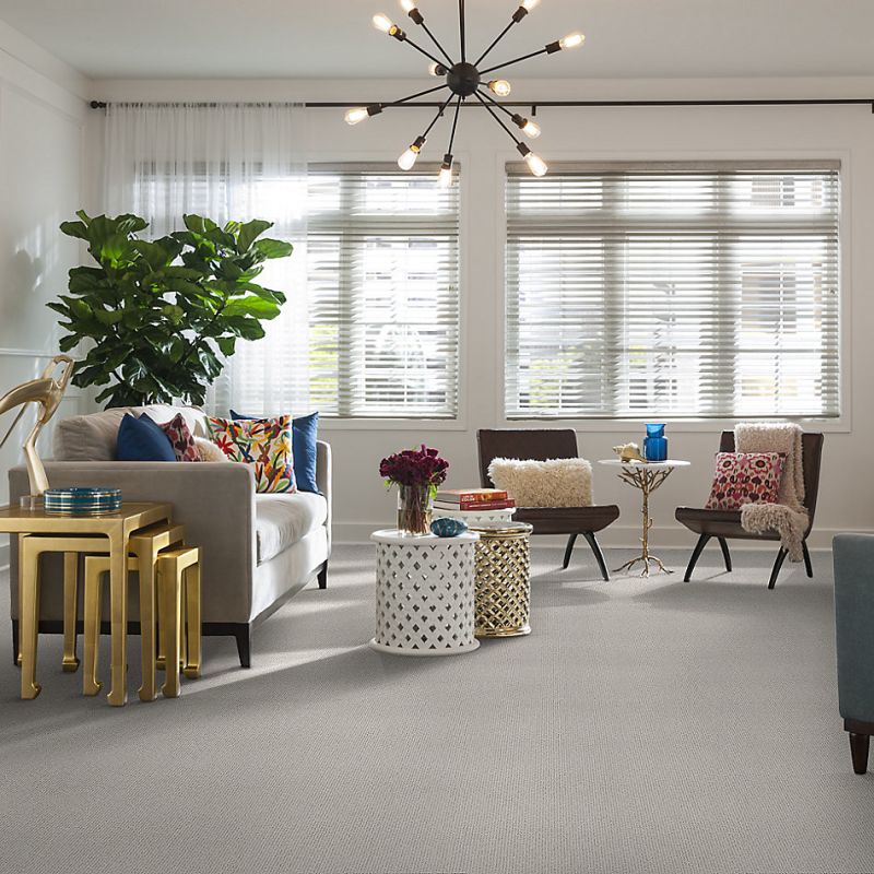 Shaw Floors Nfa/Apg Natural Ambience Meditative