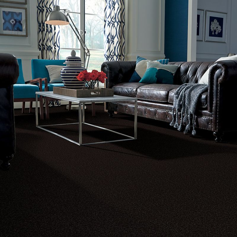 Shaw Floors Roll Special Qs216 Armour