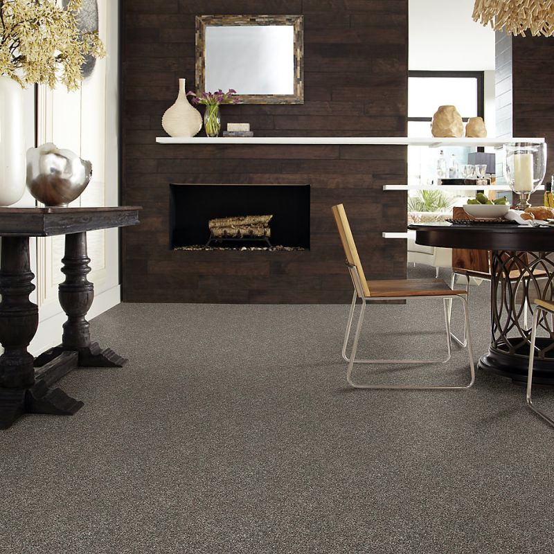 Shaw Floors Everlasting Tonal Hammerhead