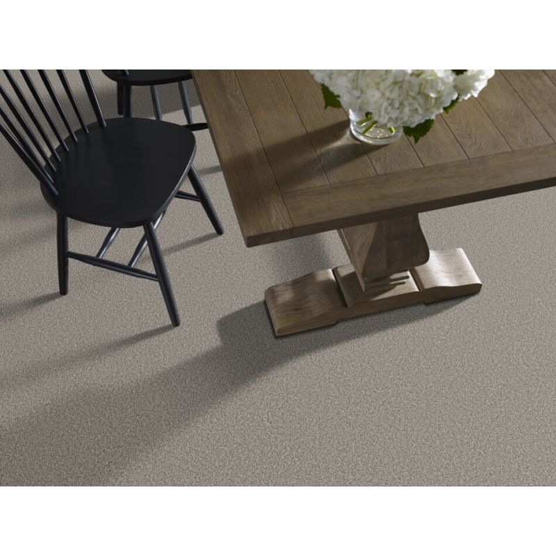 Shaw Floors SFA Tweed Comfort II Sing Along