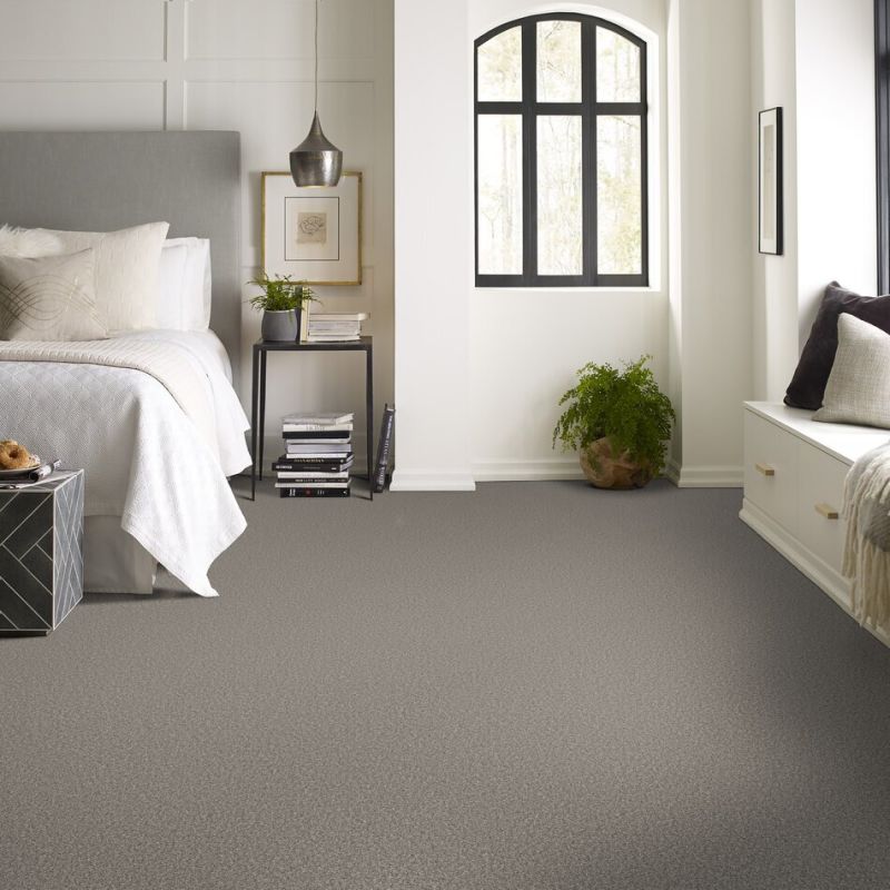 Shaw Floors SFA Tweed Comfort II Sing Along
