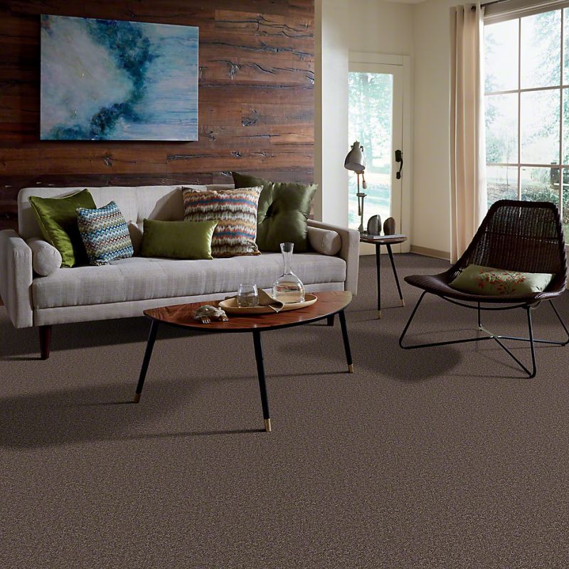 Shaw Floors Value Collections All Star Weekend II 12' Net Molasses