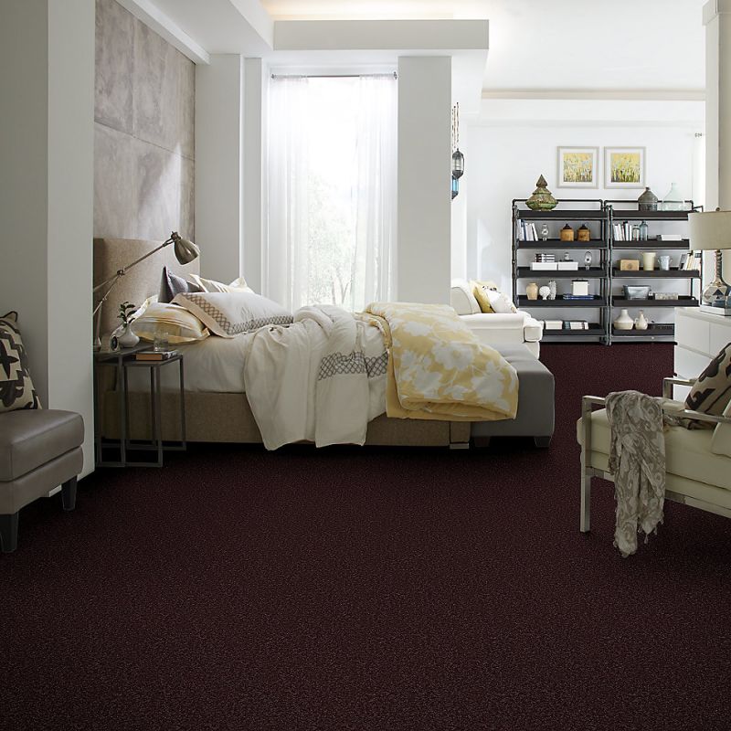 Shaw Floors Shaw On Shelf North Shore II Royal Purple