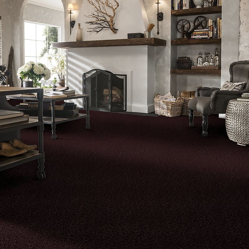 Shaw Floors Roll Special Xv304 Royal Purple