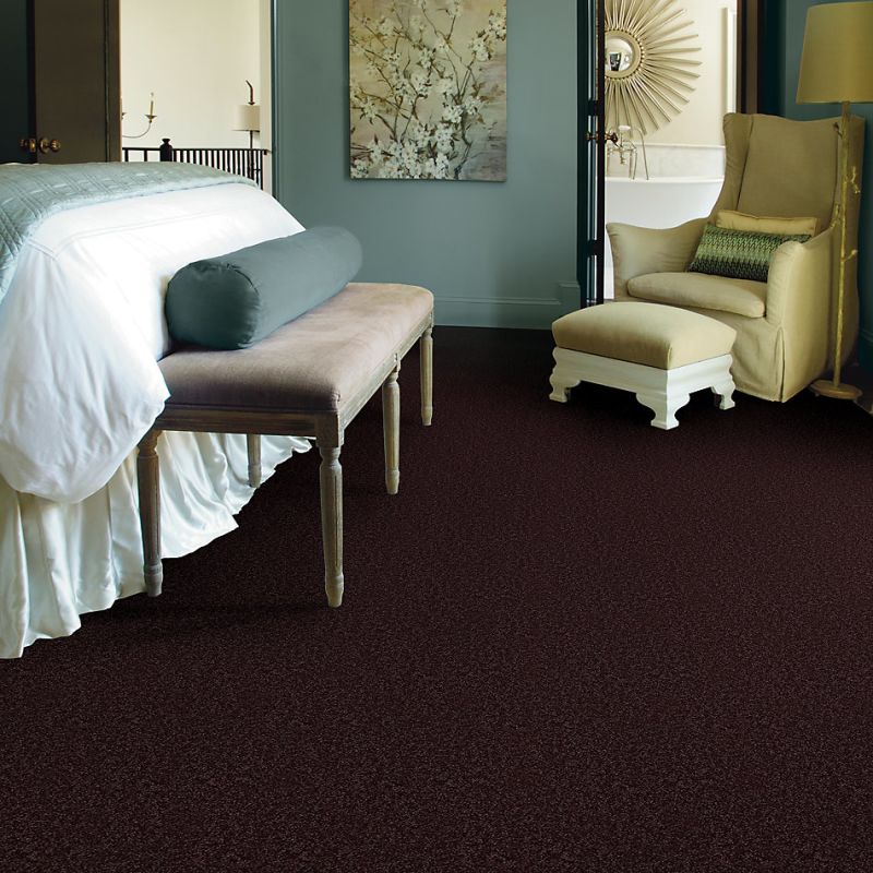 Shaw Floors Roll Special Xv865 Royal Purple