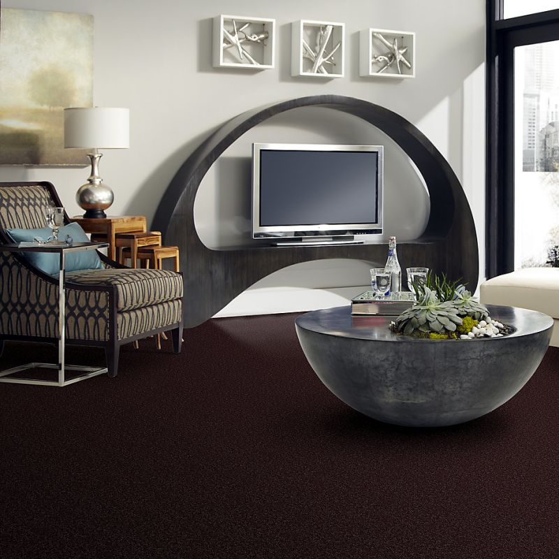 Shaw Floors Roll Special Xv865 Royal Purple