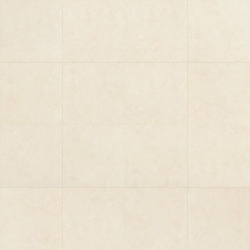 Shaw Floors Resilient Residential Renaissance Canvas