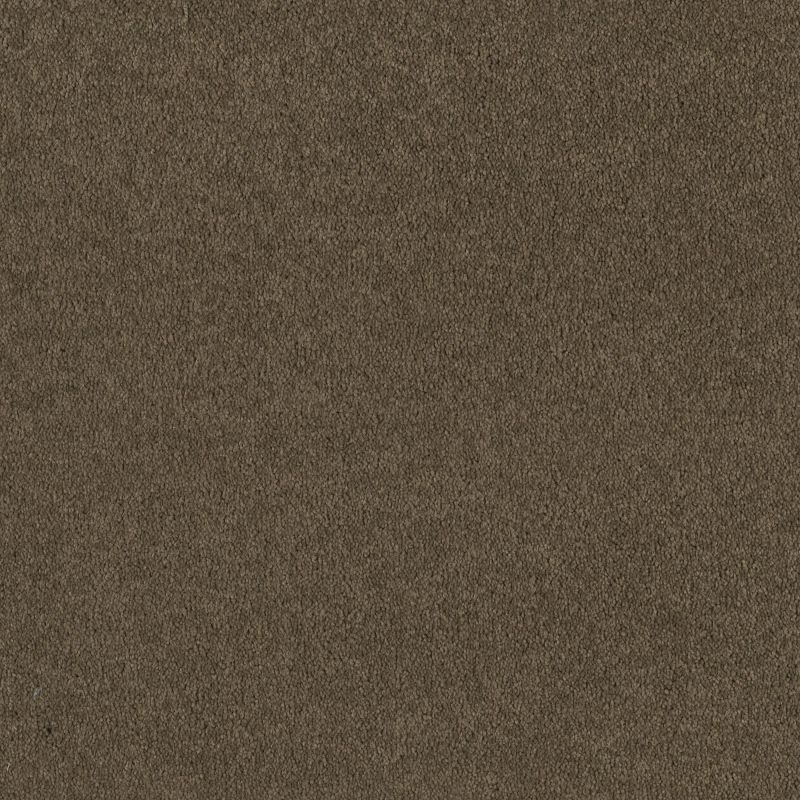 Shaw Floors SFA Born Better (s) Garden Grove