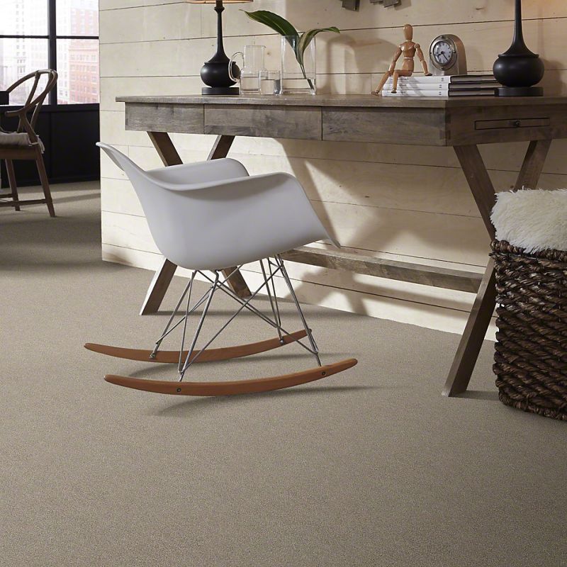 Shaw Floors Simply The Best Momentum I Driftwood