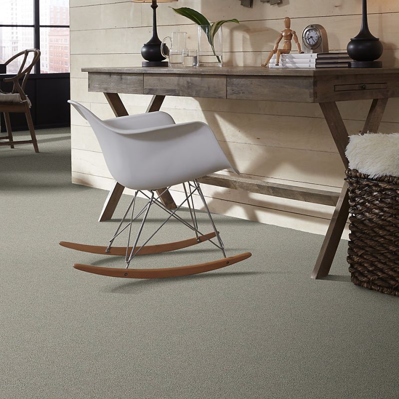 Shaw Floors Simply The Best Momentum I Moondance
