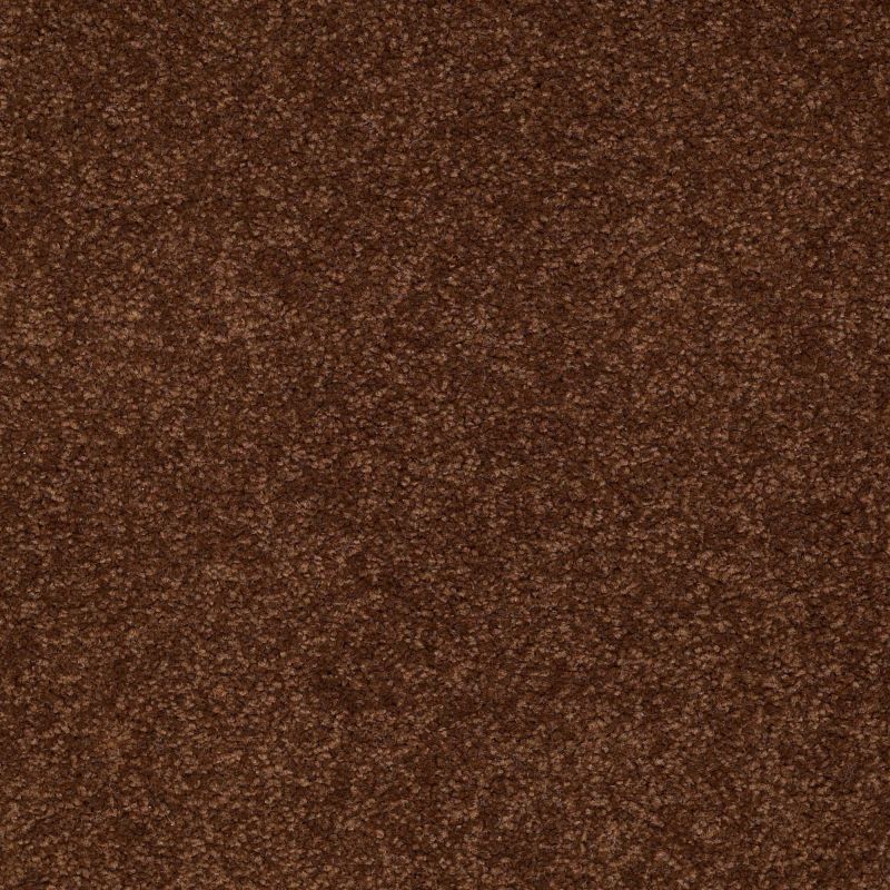 Shaw Floors Couture' Collection Ultimate Expression 15' Tortoise Shell