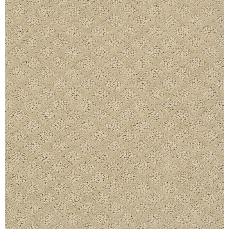 Shaw Floors Shaw Floor Studio Best Day Frost