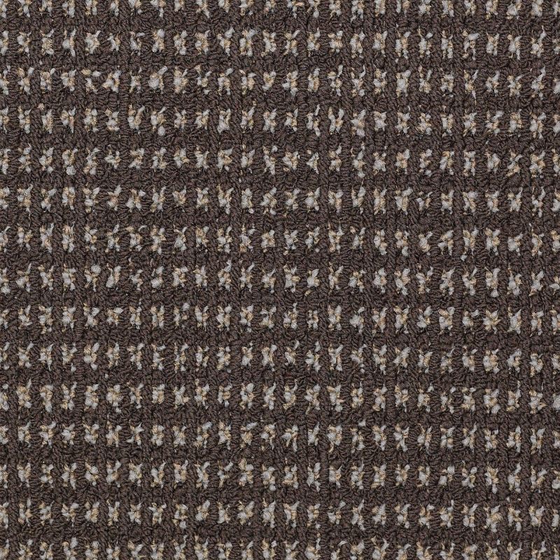 Philadelphia Commercial Today's Style Bark