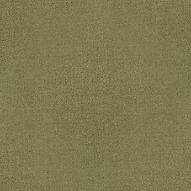 Philadelphia Commercial Color Accents Bl Fescue