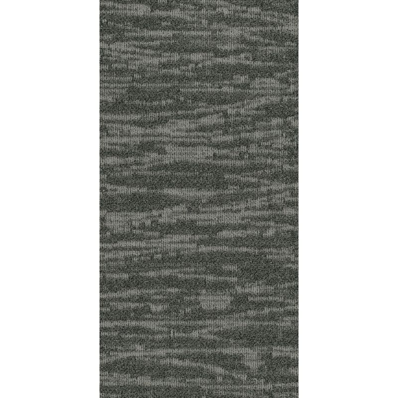 Philadelphia Commercial Modern Terrain Tidewater Lavafield