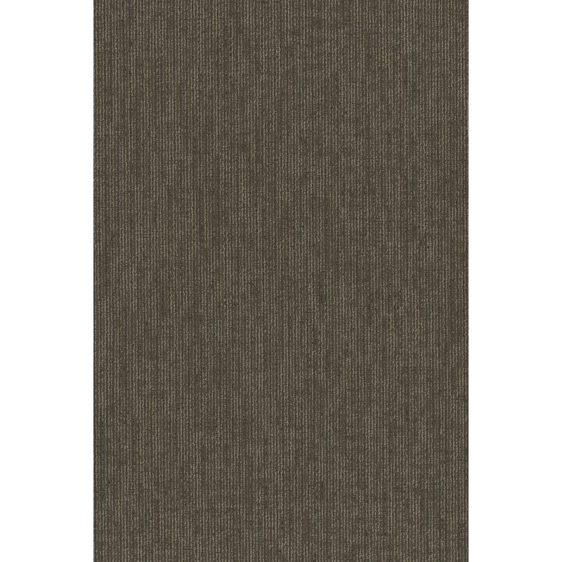 Philadelphia Commercial All Business Collection Function Conservative