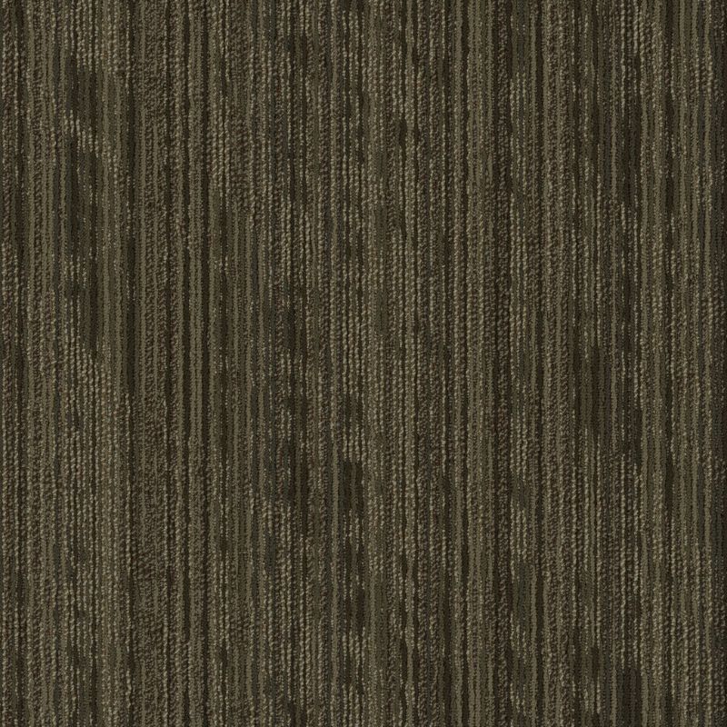 Shaw Floors Take Shape Collection Sort Wrap