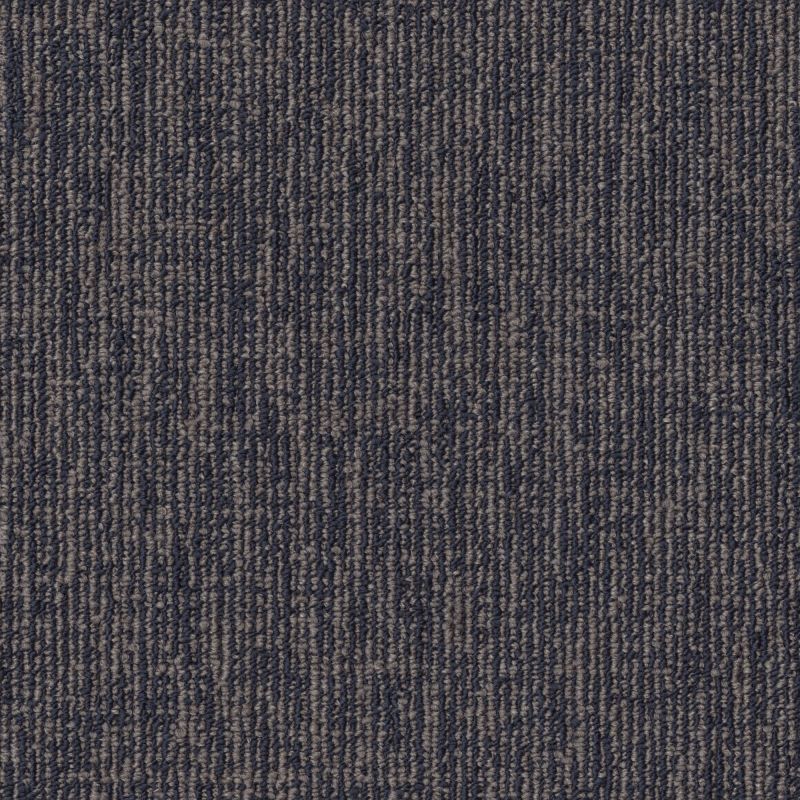 Philadelphia Commercial Fundamental Collection Engrain Primary