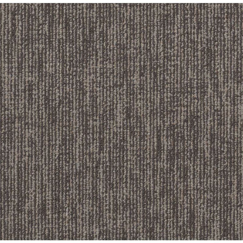 Philadelphia Commercial Fundamental Collection Engrain Organic