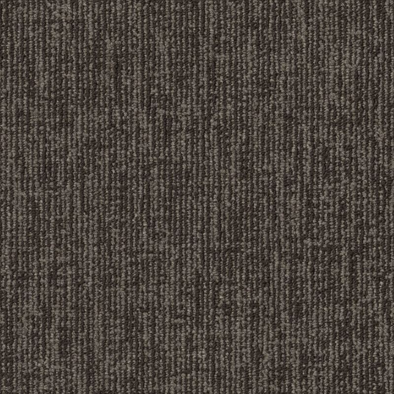 Philadelphia Commercial Fundamental Collection Engrain Foundational