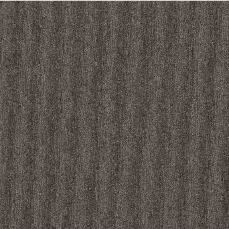 Shaw Floors Beyond Limits Desert