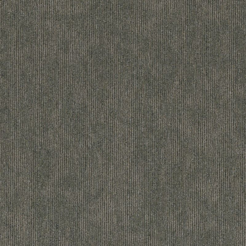 Shaw Floors Victory Collection Contender Triumph