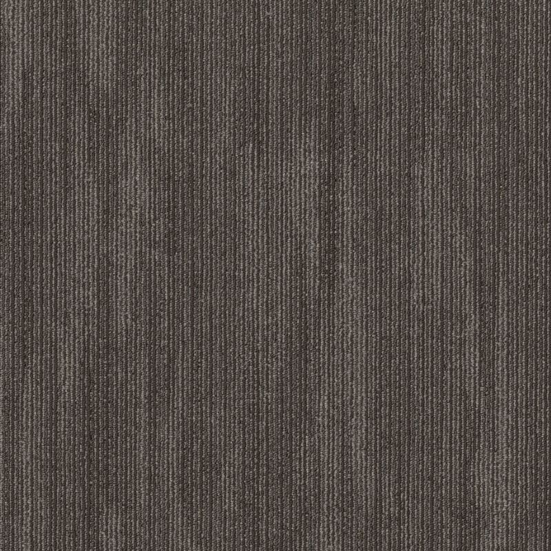 Shaw Floors Natural Slate Primal Essential