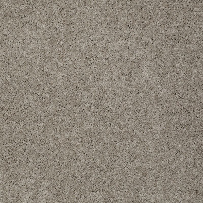 Shaw Floors Inspired By III Latt?