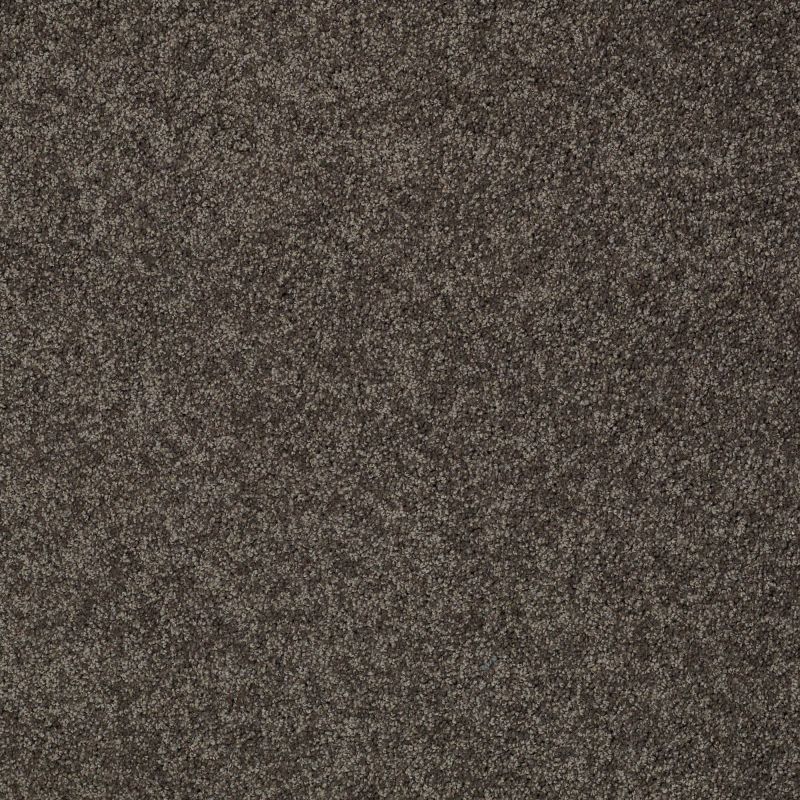 Shaw Floors Inspired By III Chocolate