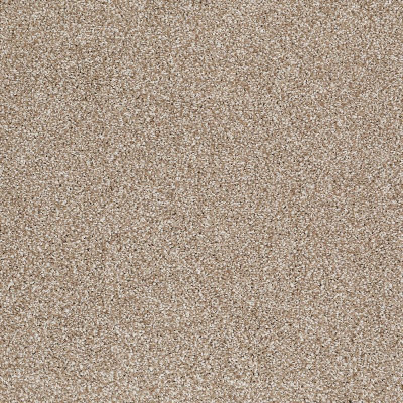 Shaw Floors Shaw Flooring Gallery Perfectly Timed Mole Hill