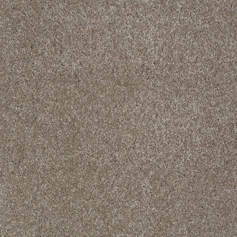 Shaw Floors Shaw Flooring Gallery Lucky You Ashen