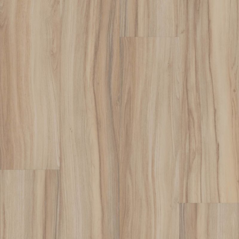 Philadelphia Commercial Resilient Residential Rewild Native