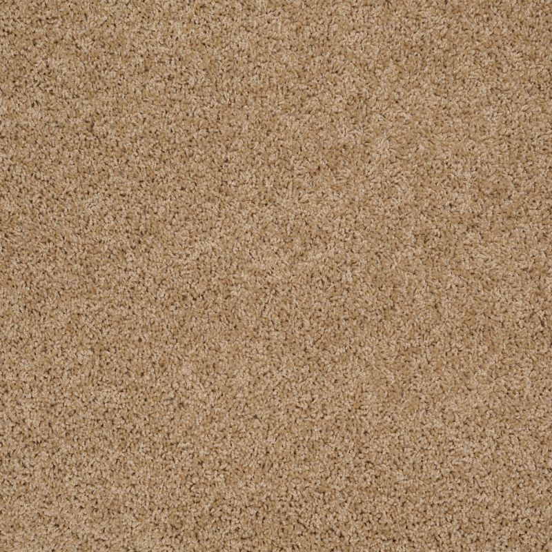 Shaw Floors Shaw Design Center Winters Home Filoli Honey