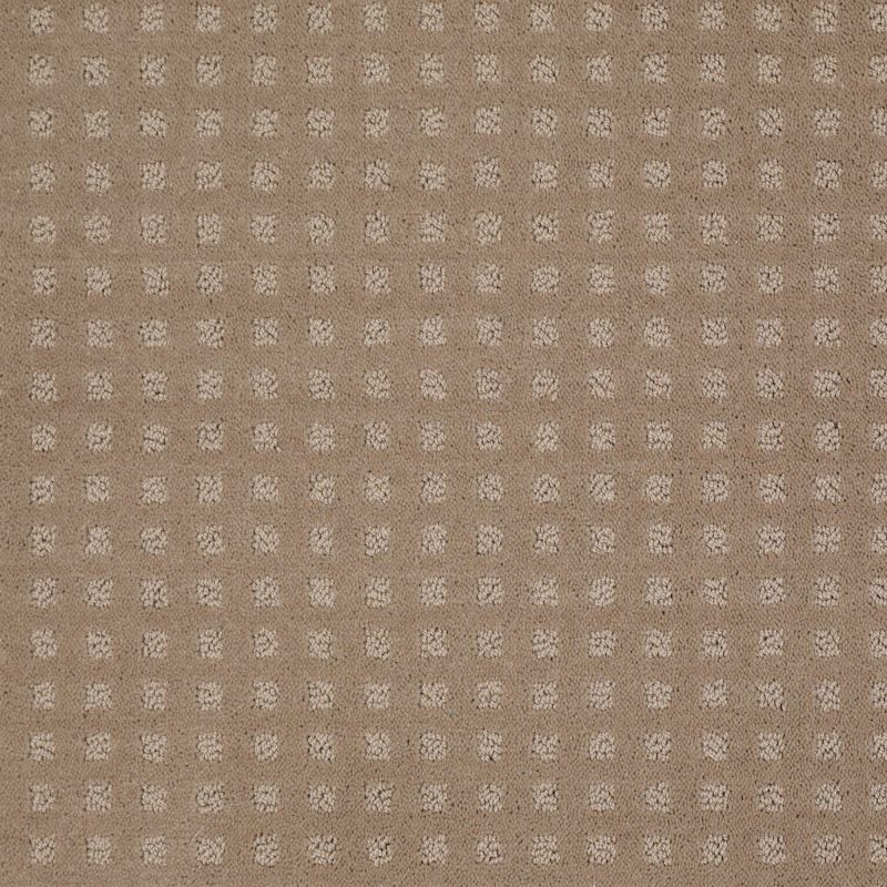 Shaw Floors Shaw Design Center New Home Place Chameleon