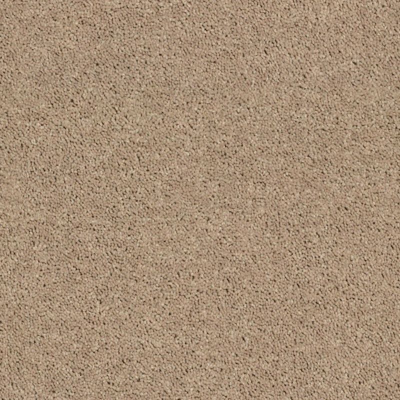 Shaw Floors Shaw Design Center Royal Portrush II 12' Tassel