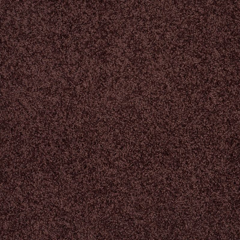 Shaw Floors Shaw Design Center Luxury Bay III Plum Delight