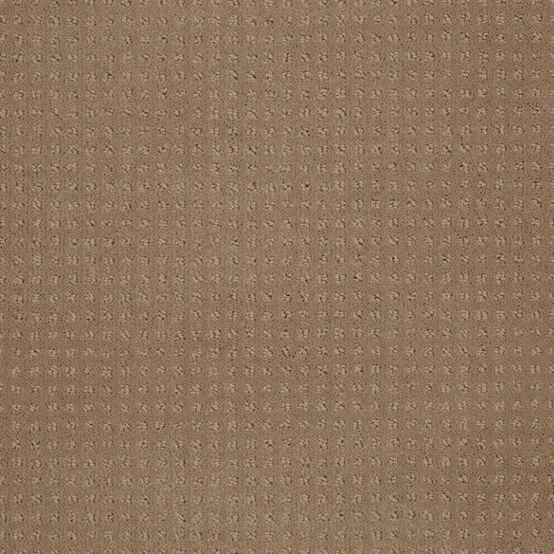 Shaw Floors Shaw Design Center Luxury Bay Pattern Clay Stone