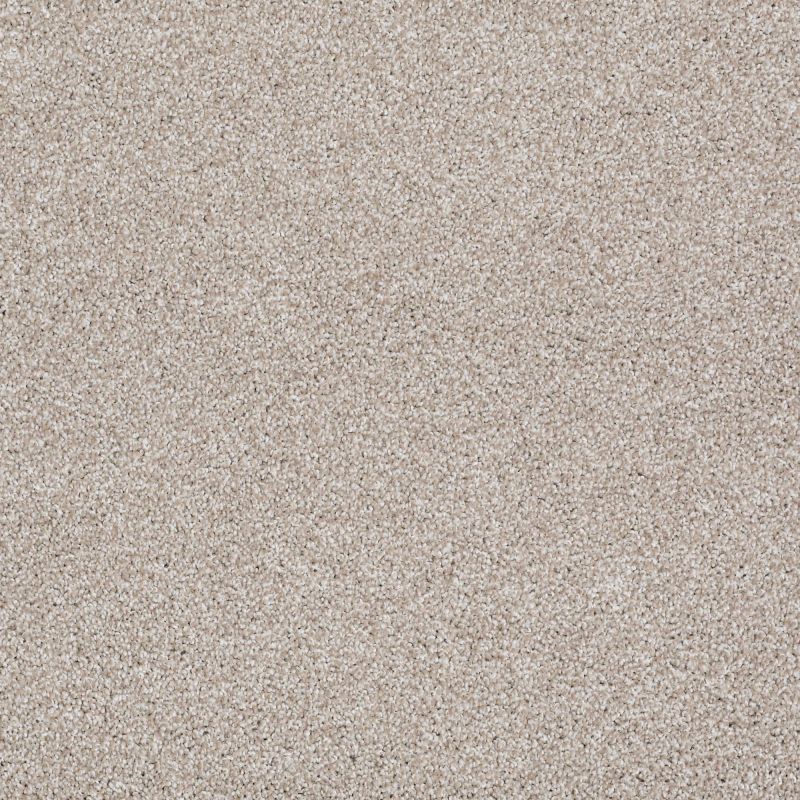 Shaw Floors Shaw Design Center Fantastical Doeskin