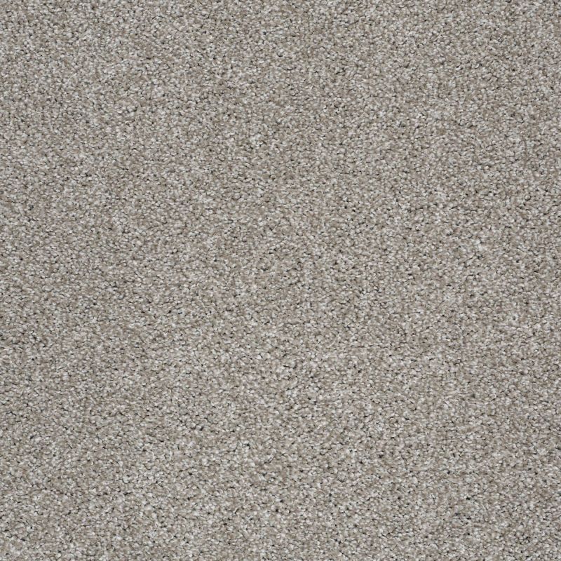 Shaw Floors Shaw Design Center Fantastical Cocoa