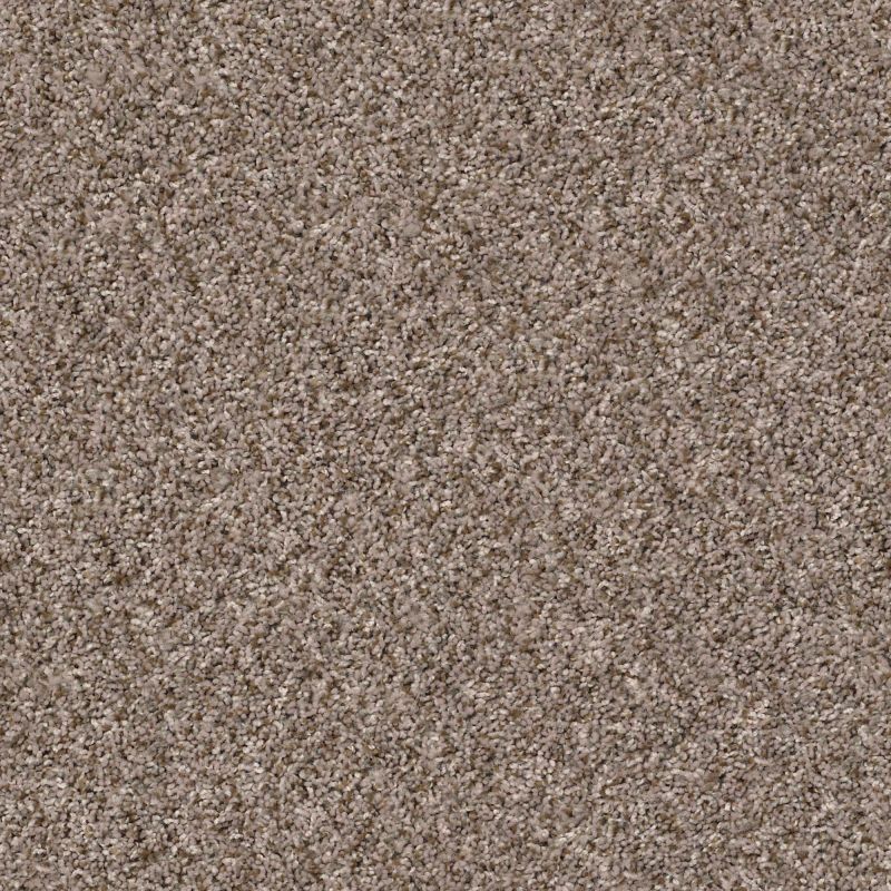 Shaw Floors Value Collections Cabana Bay (b) Net Brown Reed