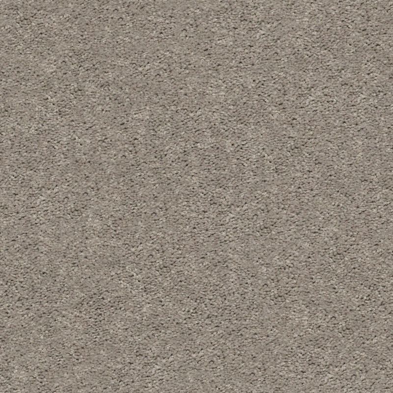 Shaw Floors Value Collections Cabana Bay Solid Net Perfect Taupe