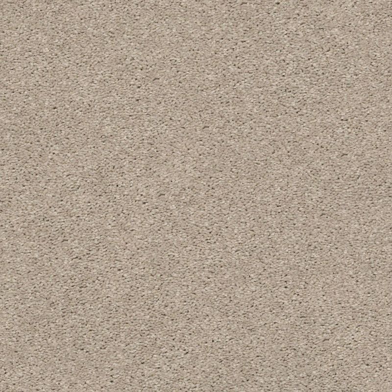 Shaw Floors Simply The Best Cabana Life Solid Net Shifting Sand