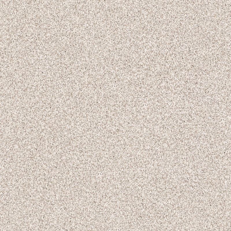 Shaw Floors Foundations Take The Floor Tonal II Statuary